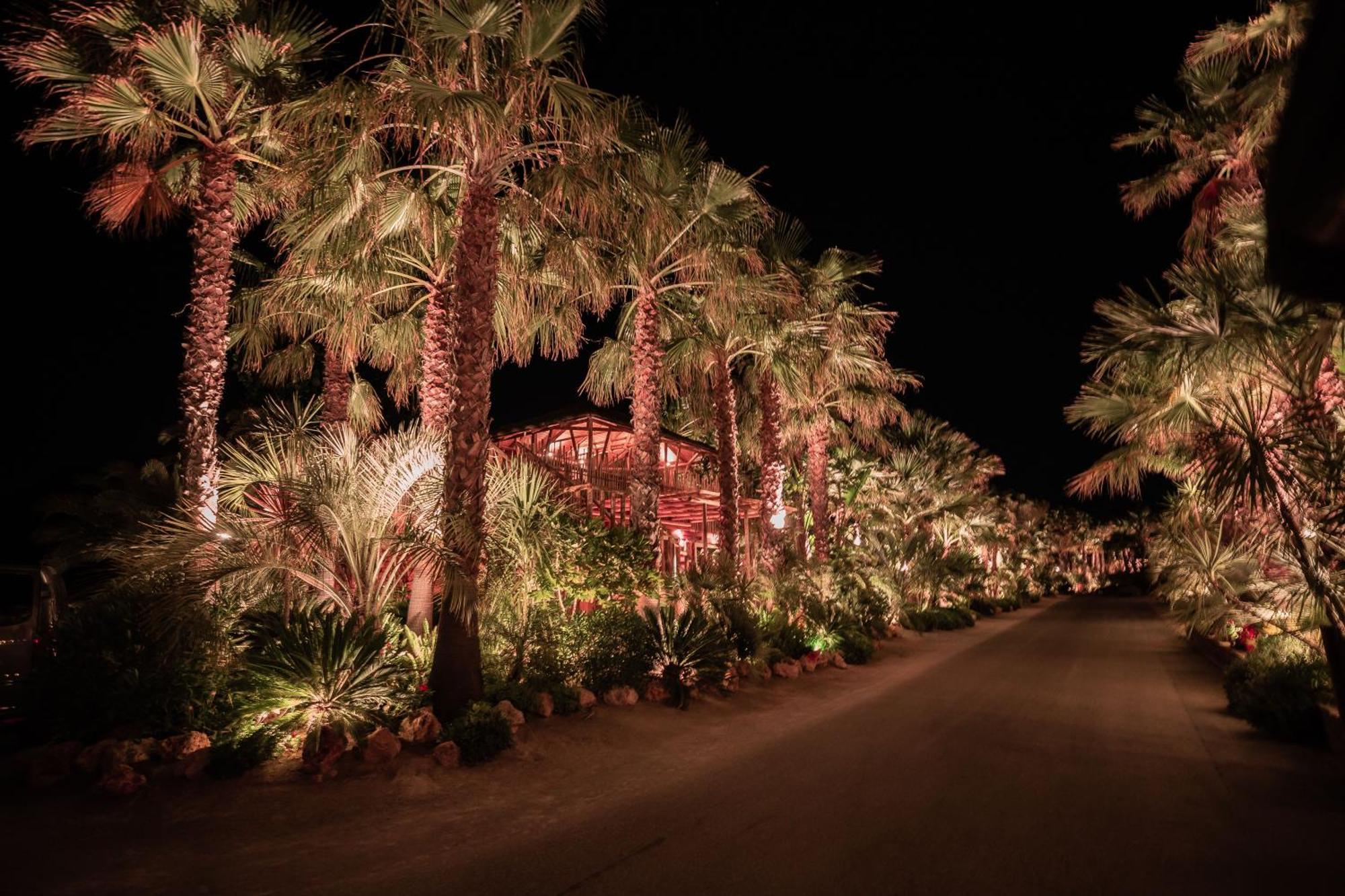 Toison D'Or Hotel รามาตูแอล ภายนอก รูปภาพ The Desert Botanical Gardens at night