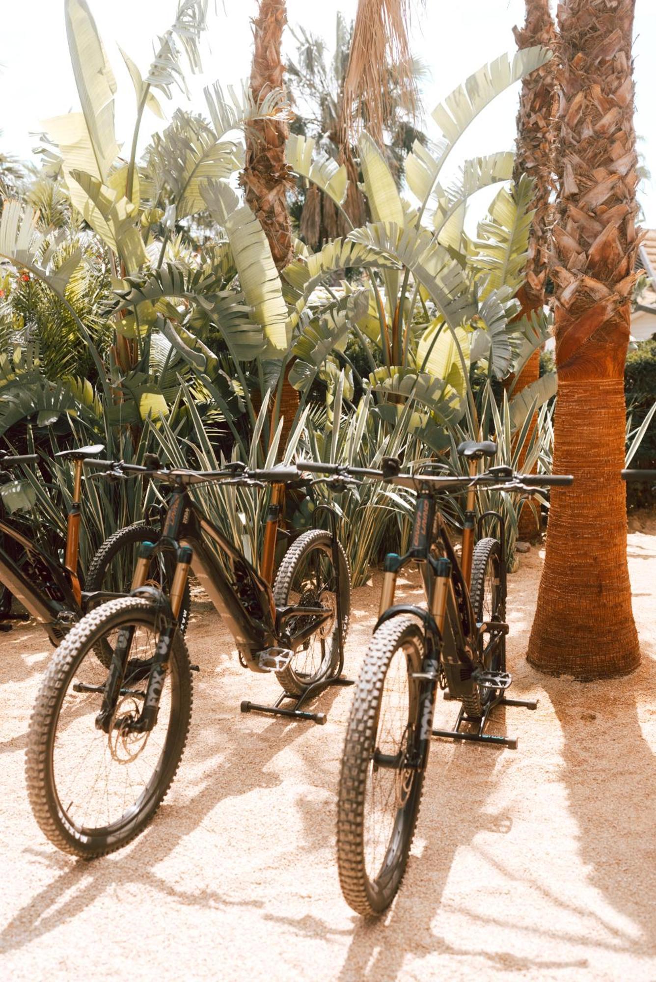 Toison D'Or Hotel รามาตูแอล ภายนอก รูปภาพ Bicycles at the Desert Botanical Gardens